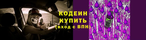 трава Белокуриха