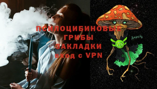 трава Белокуриха
