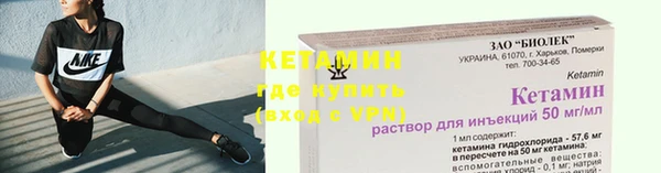 трава Белокуриха