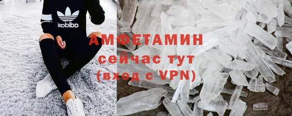 трава Белокуриха