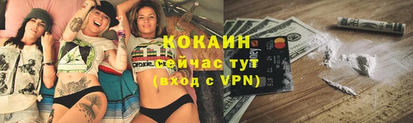 трава Белокуриха