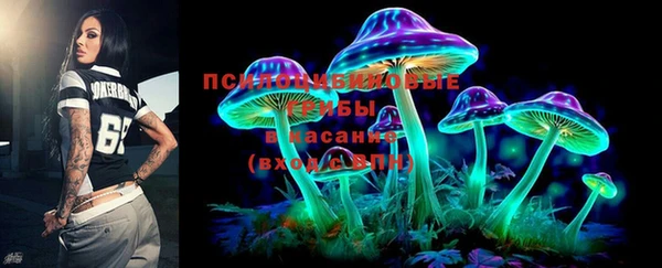 амф Белоозёрский