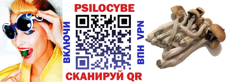 Галлюциногенные грибы Psilocybe  Светлый 